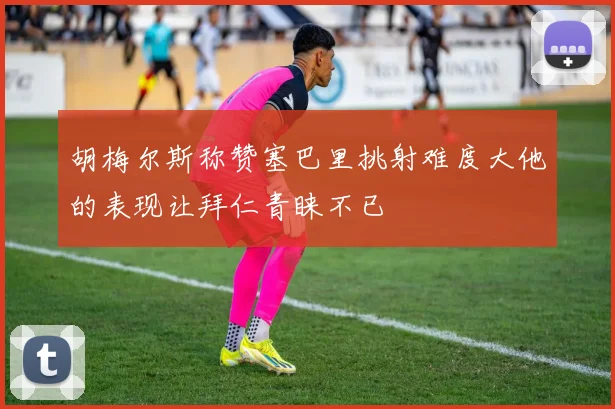 胡梅尔斯称赞塞巴里挑射难度大他的表现让拜仁青睐不已